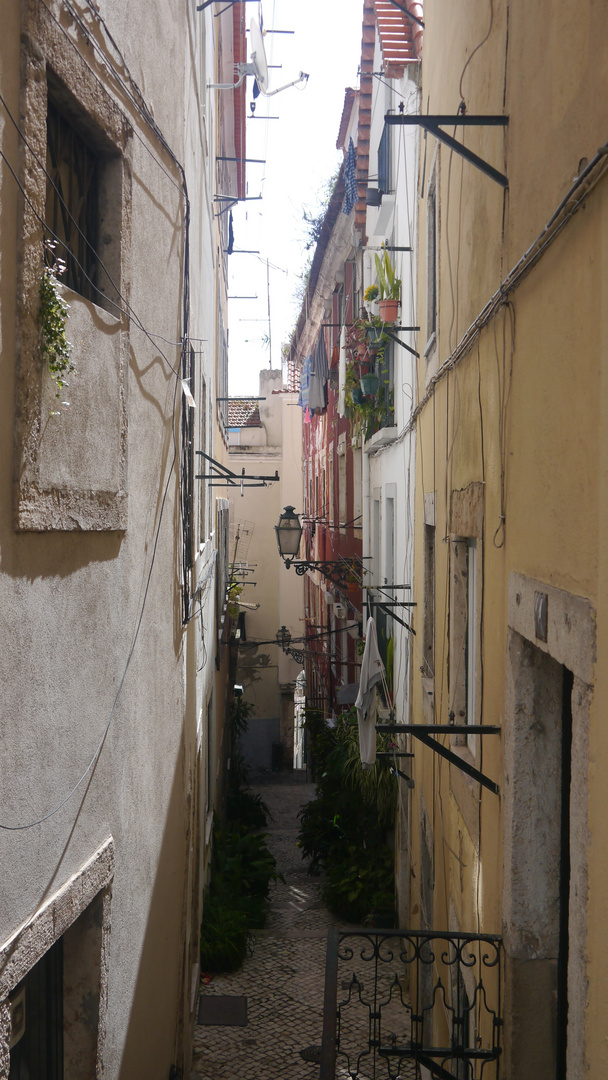 Lisboa Gasse in der Alfama