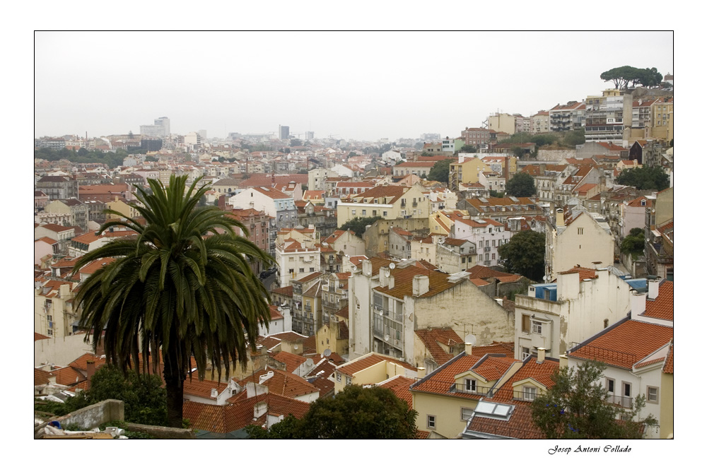 Lisboa impressions III
