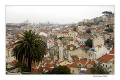 Lisboa impressions III