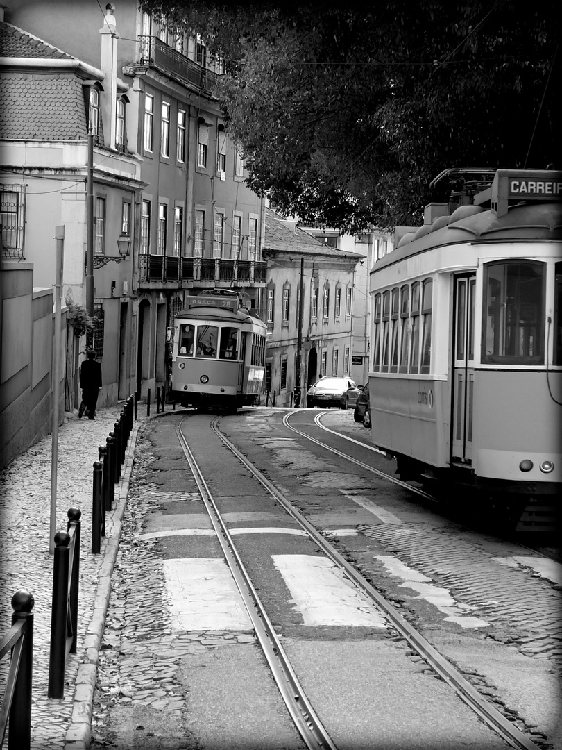 Lisboa Tram