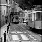 Lisboa Tram