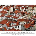 Lisbon Roofs