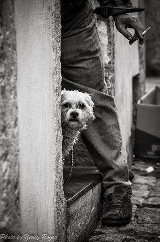 Lisbon.Alfama