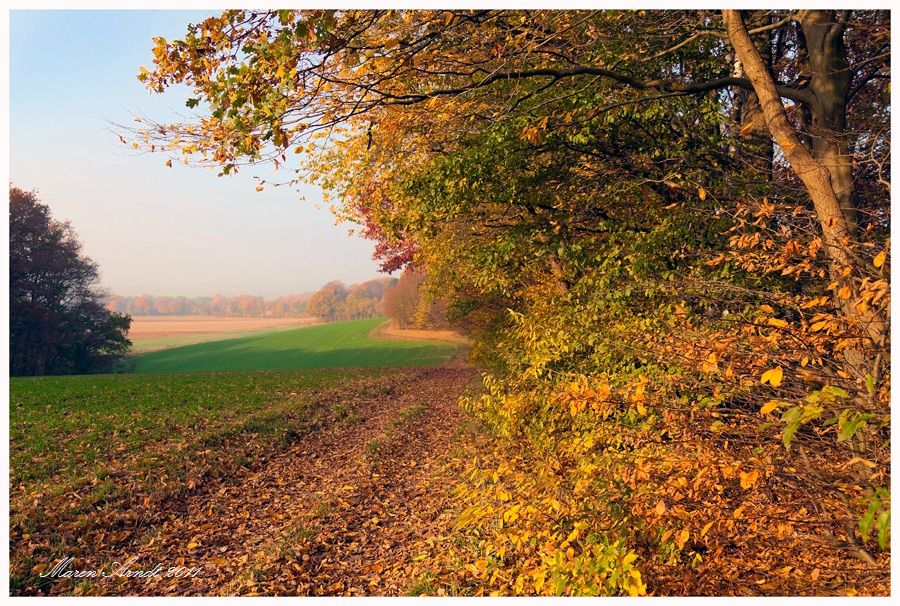 Lisel Oppel Weg