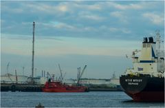 LISELOTTE ESSBERGER / Tanker / Rotterdam