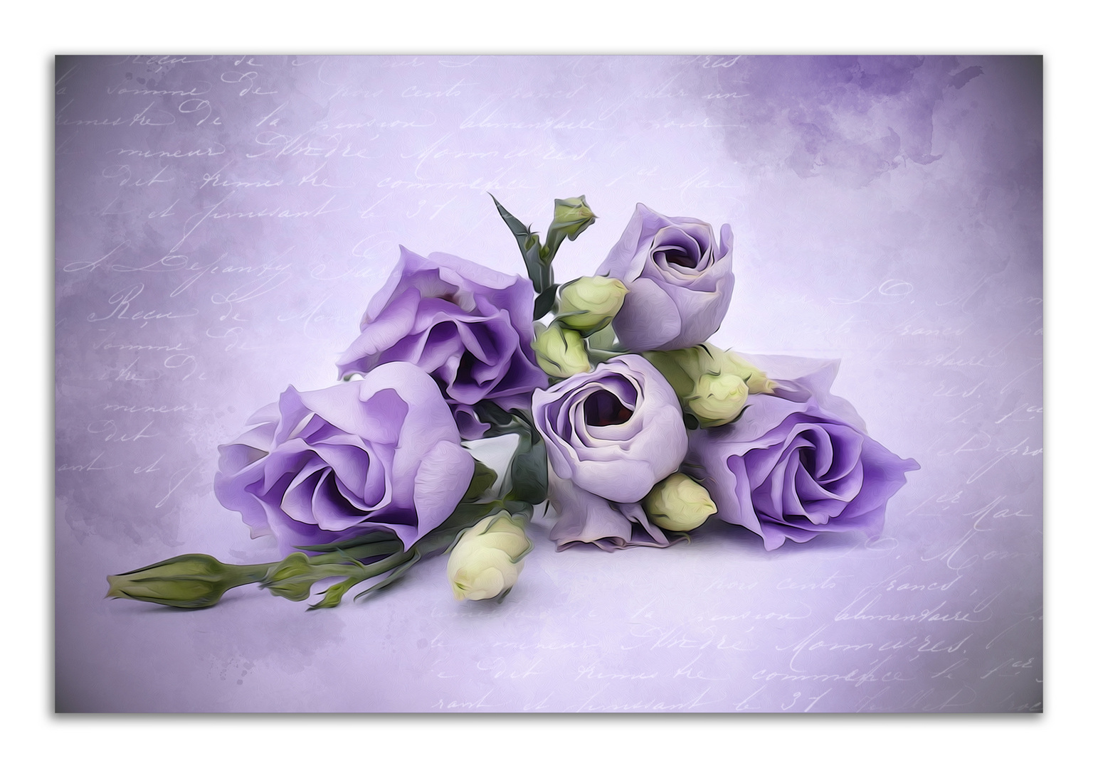 LISIANTHUS