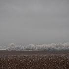 Lisières sous le givre