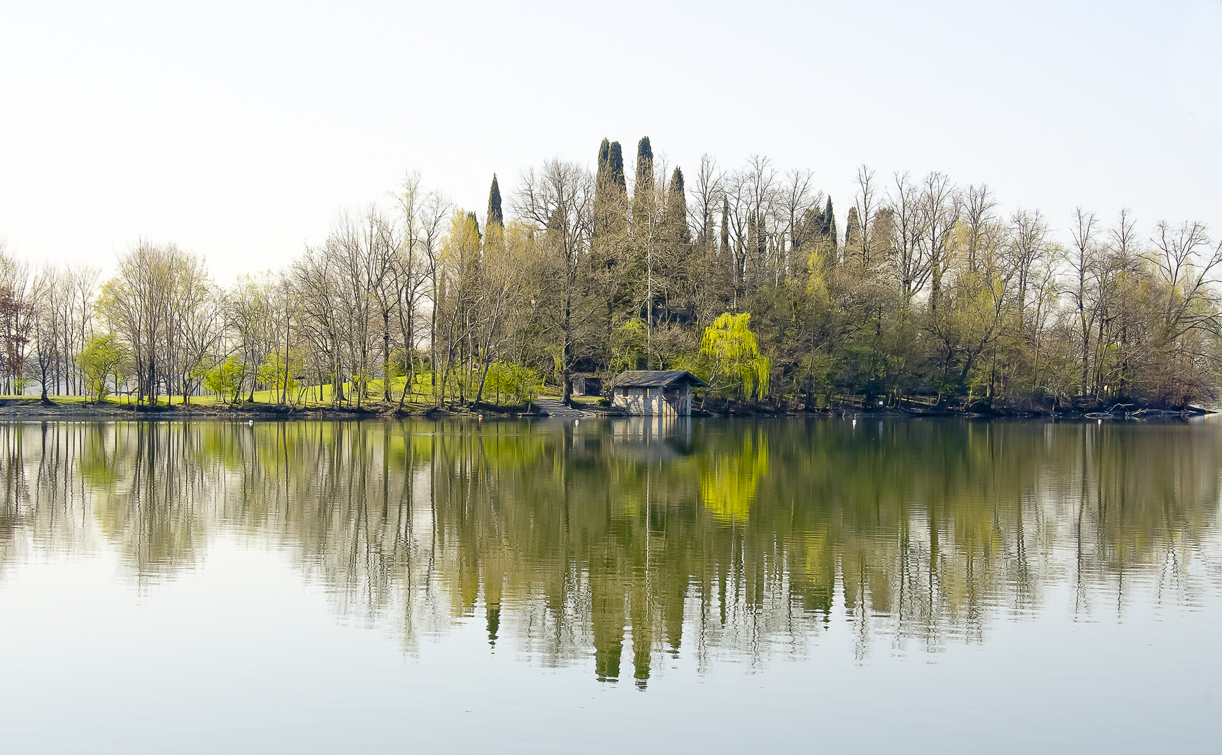 l'isola dei cipressi