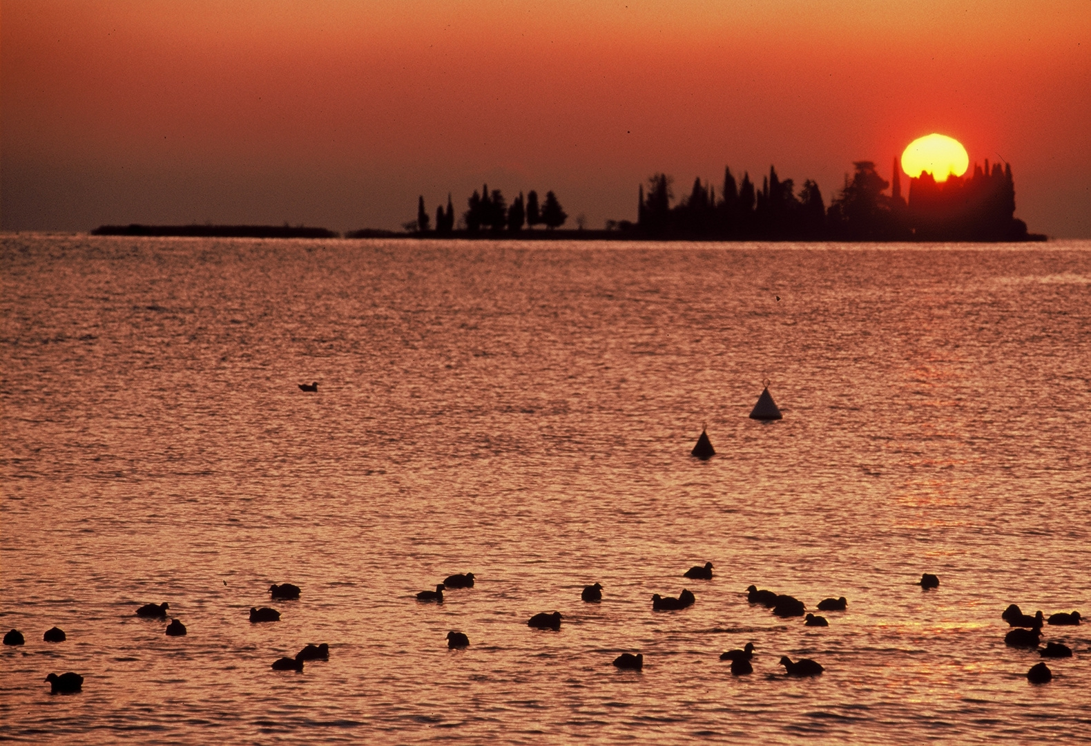 L'isola dei conigli ( Lago di Garda )