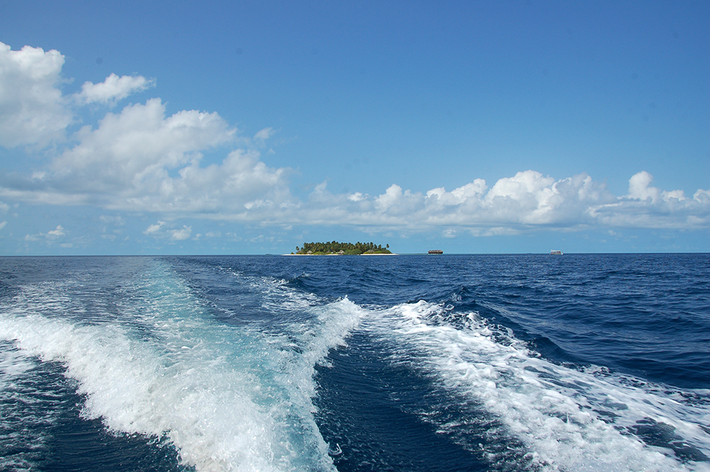 l`isola dei sogni