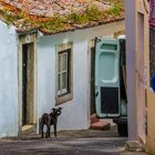 Lissabon - Alfama