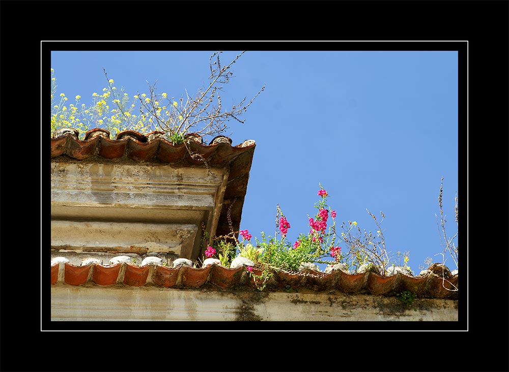 Lissabon, - Fassaden und Fenster (13)