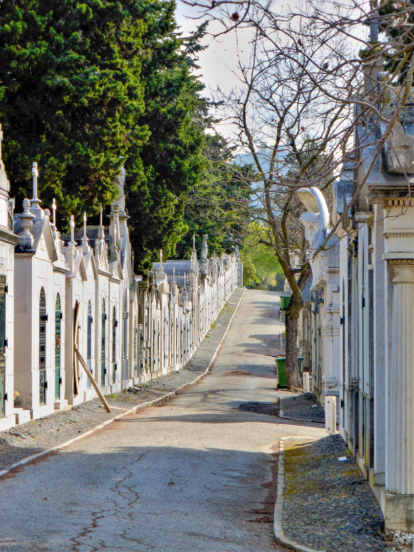 Lissabon Friedhof vista