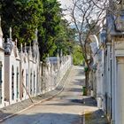 Lissabon Friedhof vista