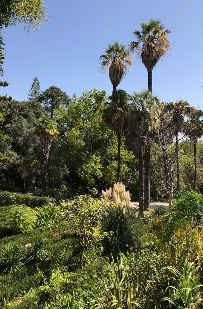 Lissabon  - im Botanischen Garten