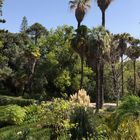 Lissabon  - im Botanischen Garten