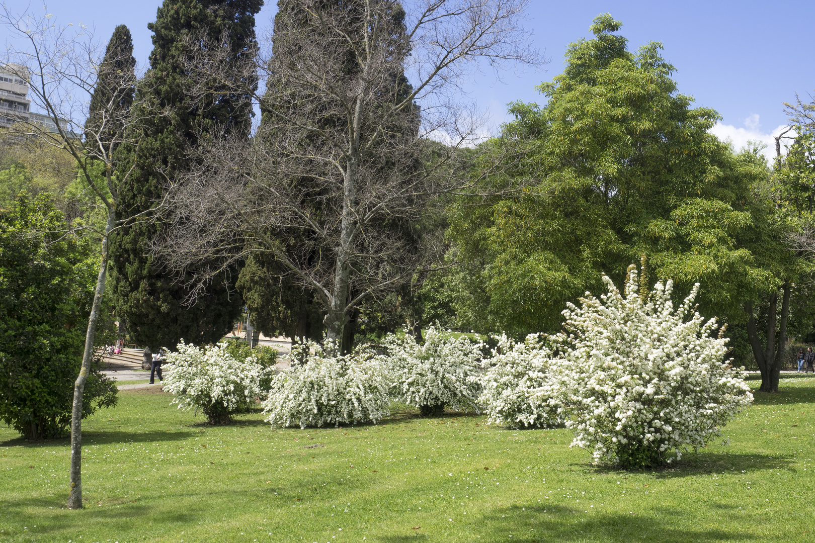 ~ Lissabon im Frühling ~ 