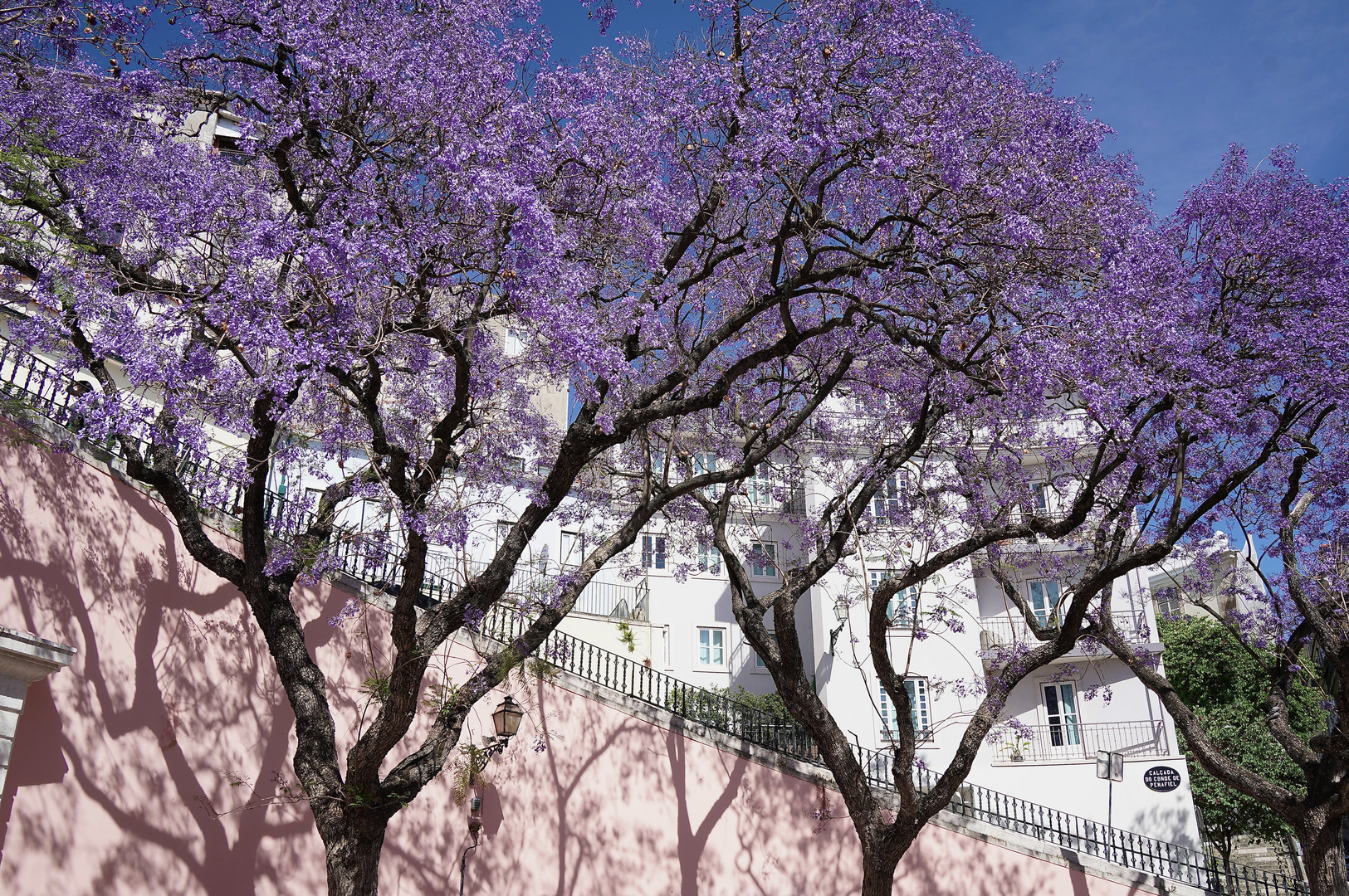Lissabon im Frühling
