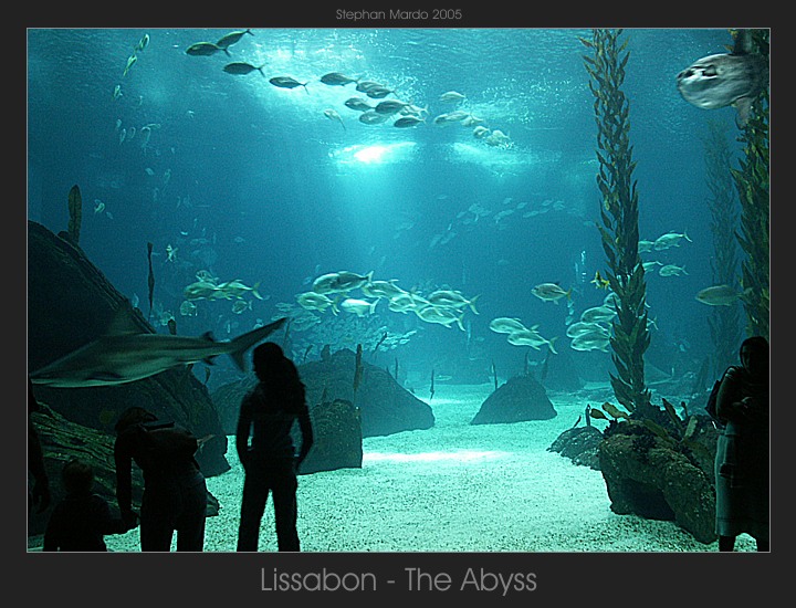 "Lissabon - The Abyss"