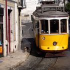 Lissabons "Tram"