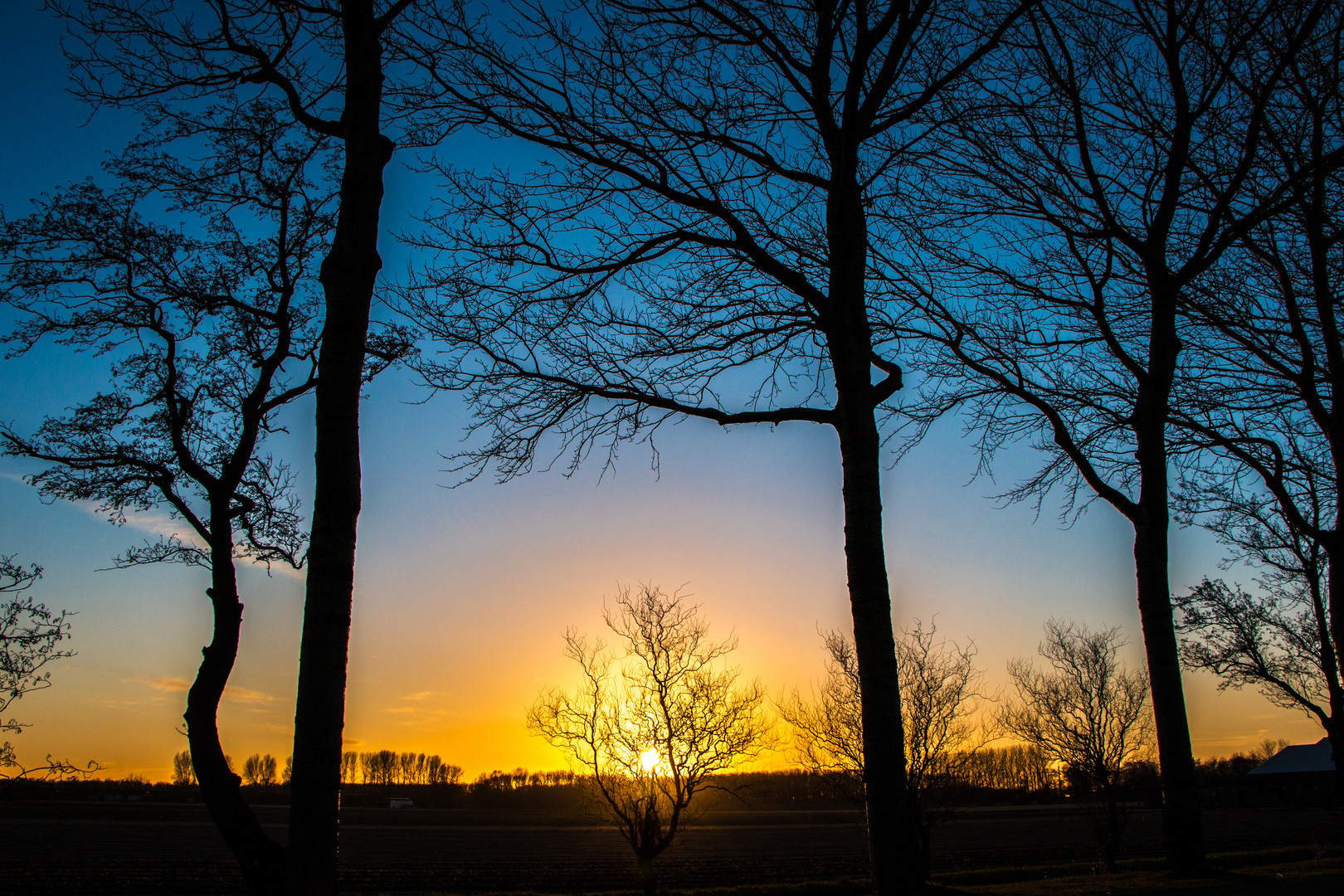 LISSE - Hollande du sud. [1]