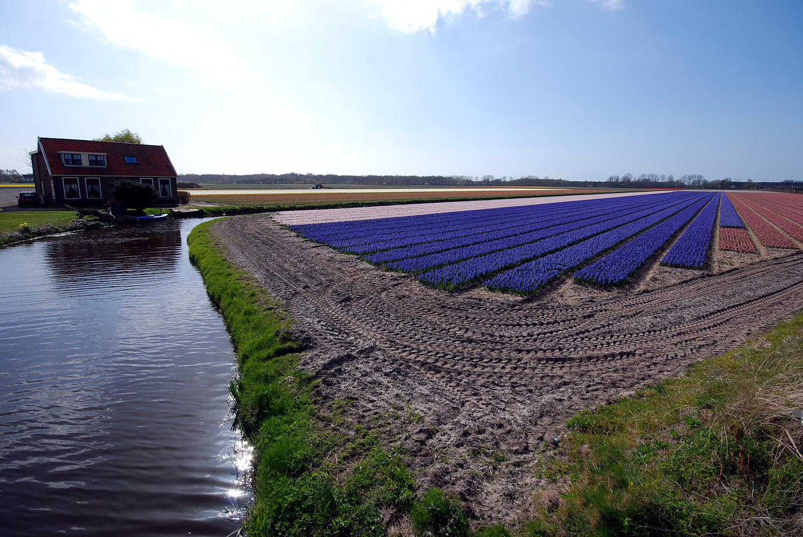 Lisse Zwartelaan 03