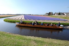 Lisse Zwartelaan 04