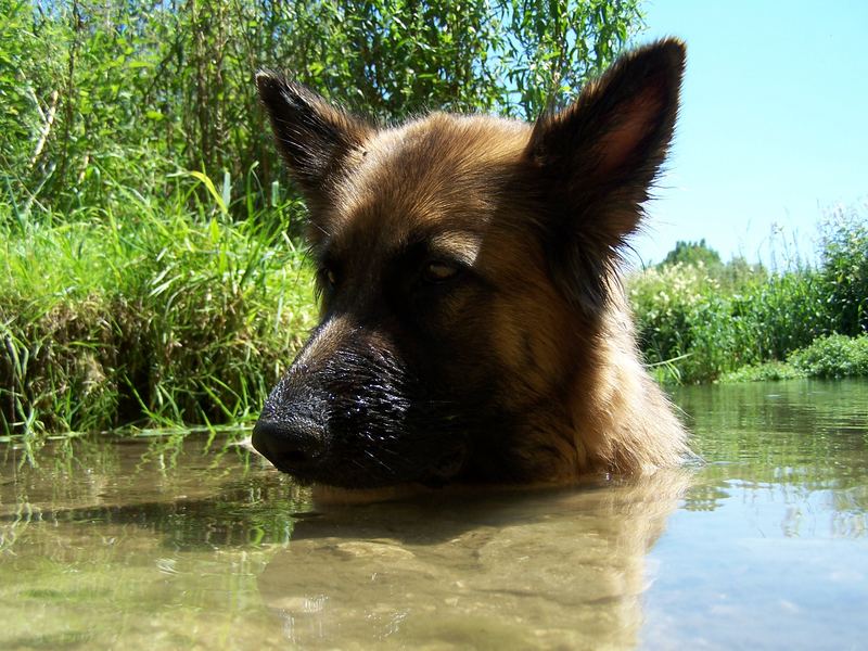 Lissy beim Baden