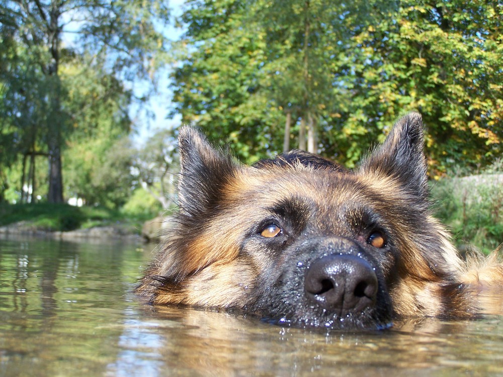 Lissy beim Baden