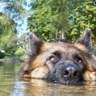 Lissy beim Baden