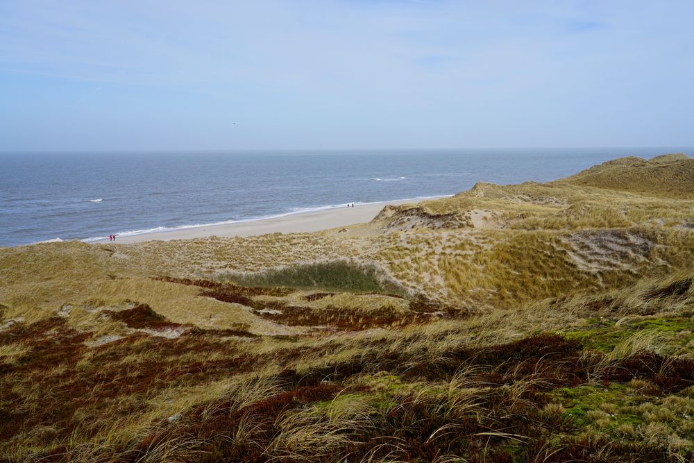 LIST AUF SYLT - FEBRUAR 2015