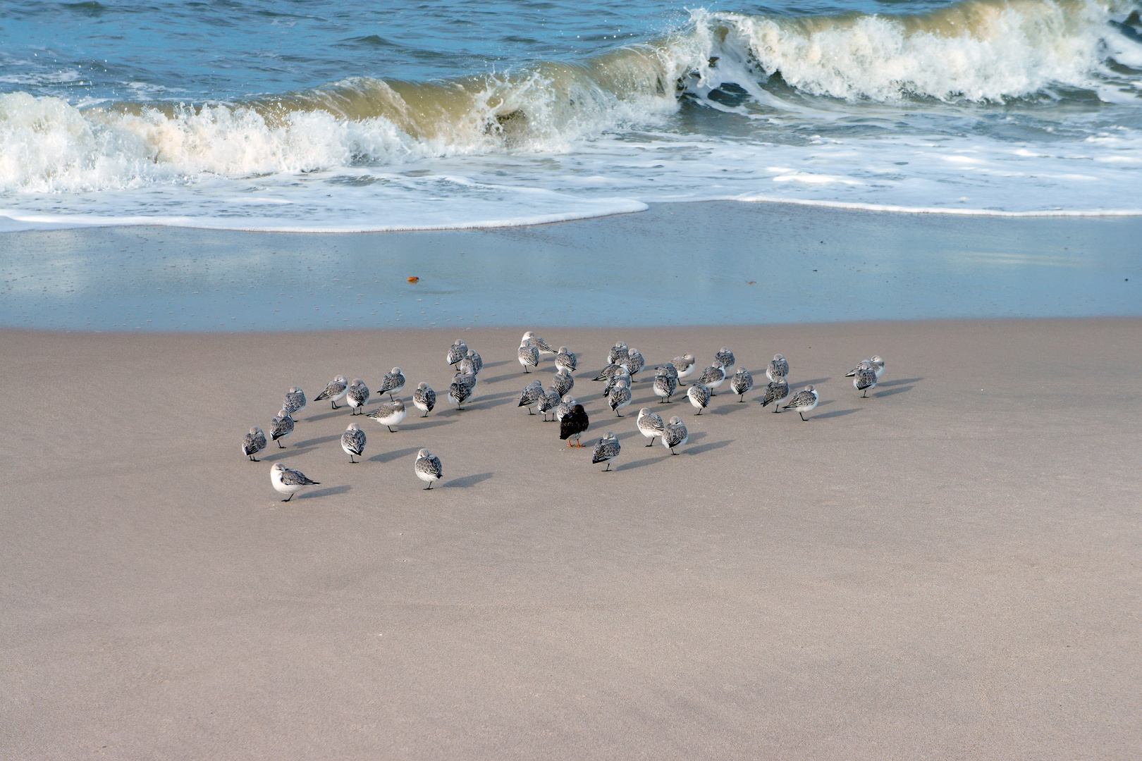 LIST AUF SYLT - WESTSTRAND - FEBRUAR 2015