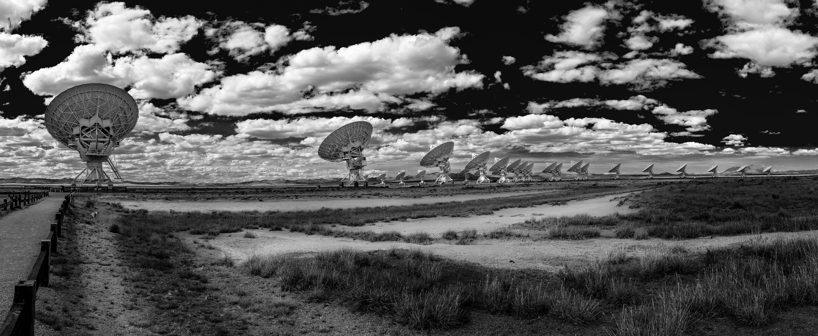 Listening to the Stars BW (4696, 8f-Pano)