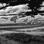 Listening to the Stars BW (4696, 8f-Pano)