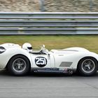 Lister Knobbly 