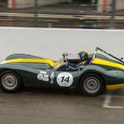 Lister Knobbly 