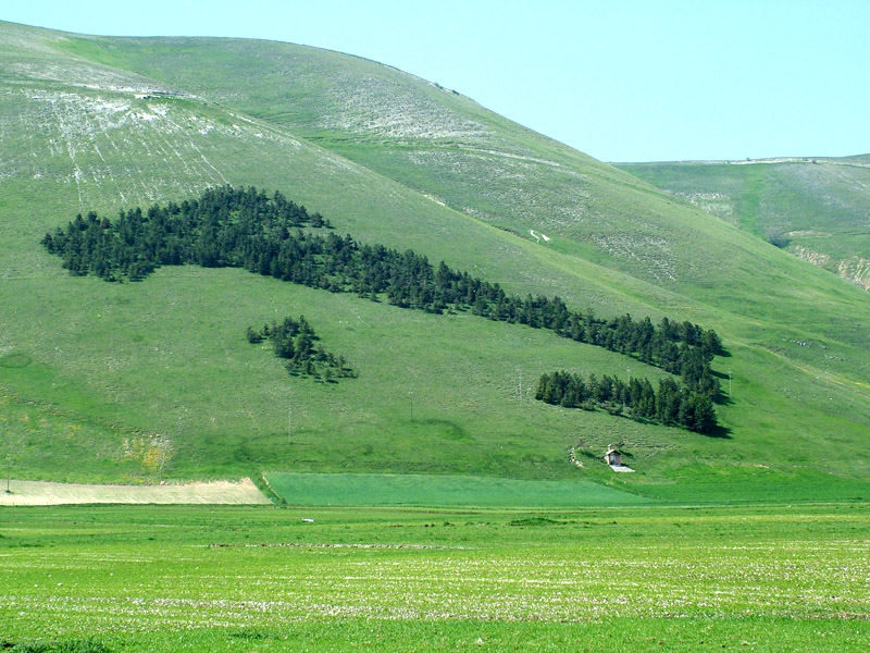 L'italia a Castelluccio di Norcia (PG)