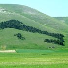 L'italia a Castelluccio di Norcia (PG)