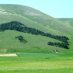 L'italia a Castelluccio di Norcia (PG)