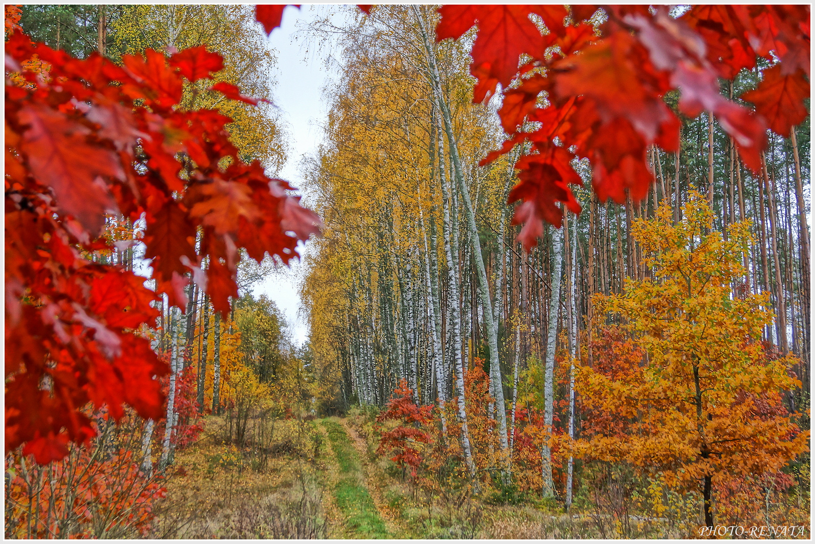 Litauen im Herbst