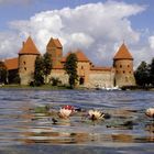 Litauen: Seerosen vor Trakai