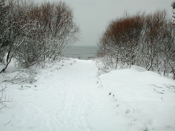 litauische Dünenromantik im Winter