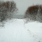 litauische Dünenromantik im Winter