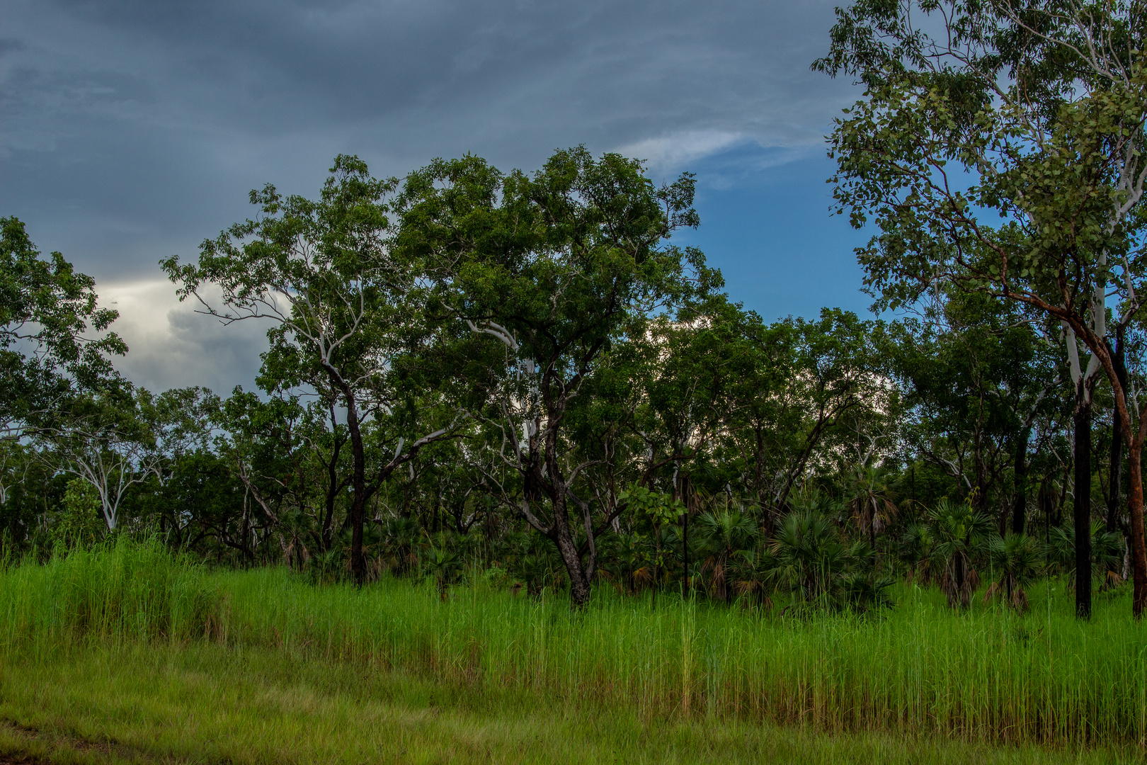 Litchfield Nationalpark