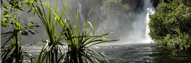 Litchfield Nationalpark Australia