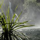 Litchfield Nationalpark Australia