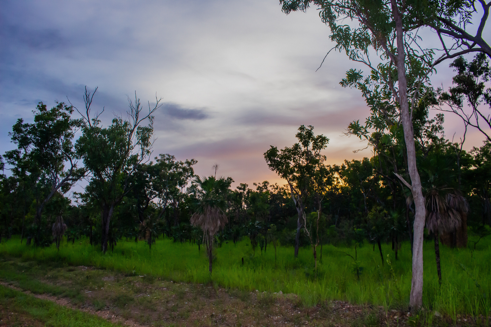 Litchfield Nationalpark