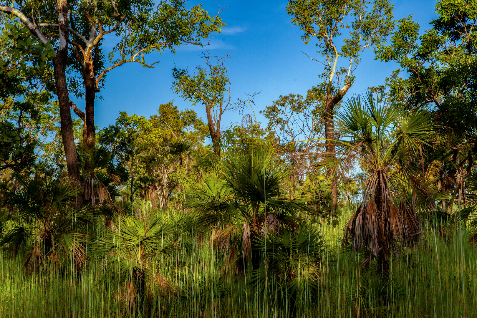 Litchfield Nationalpark