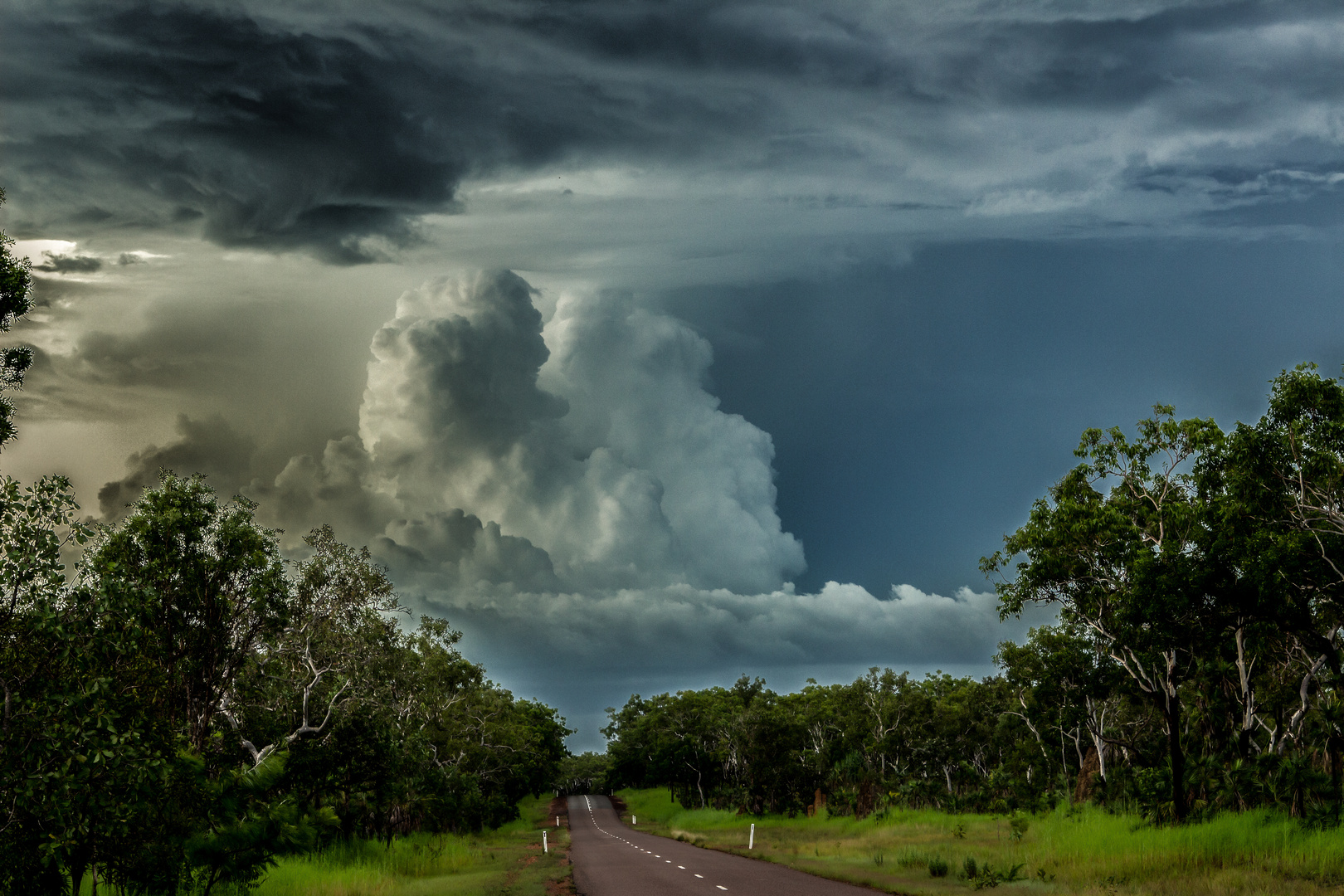 Litchfield Road