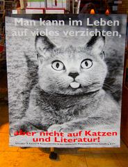 Literarische Katze